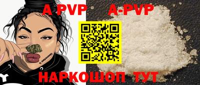эйфоретик Кингисепп