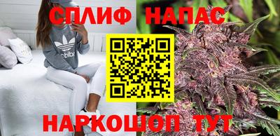 эйфоретик Кингисепп