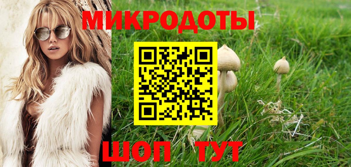 Чебаркуль  Галлюциногенные грибы Cubensis  Вход с VPN  закладка  Галлюциногенные грибы Psilocybe 